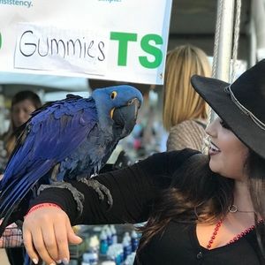 Meet your Posher, Vanessa